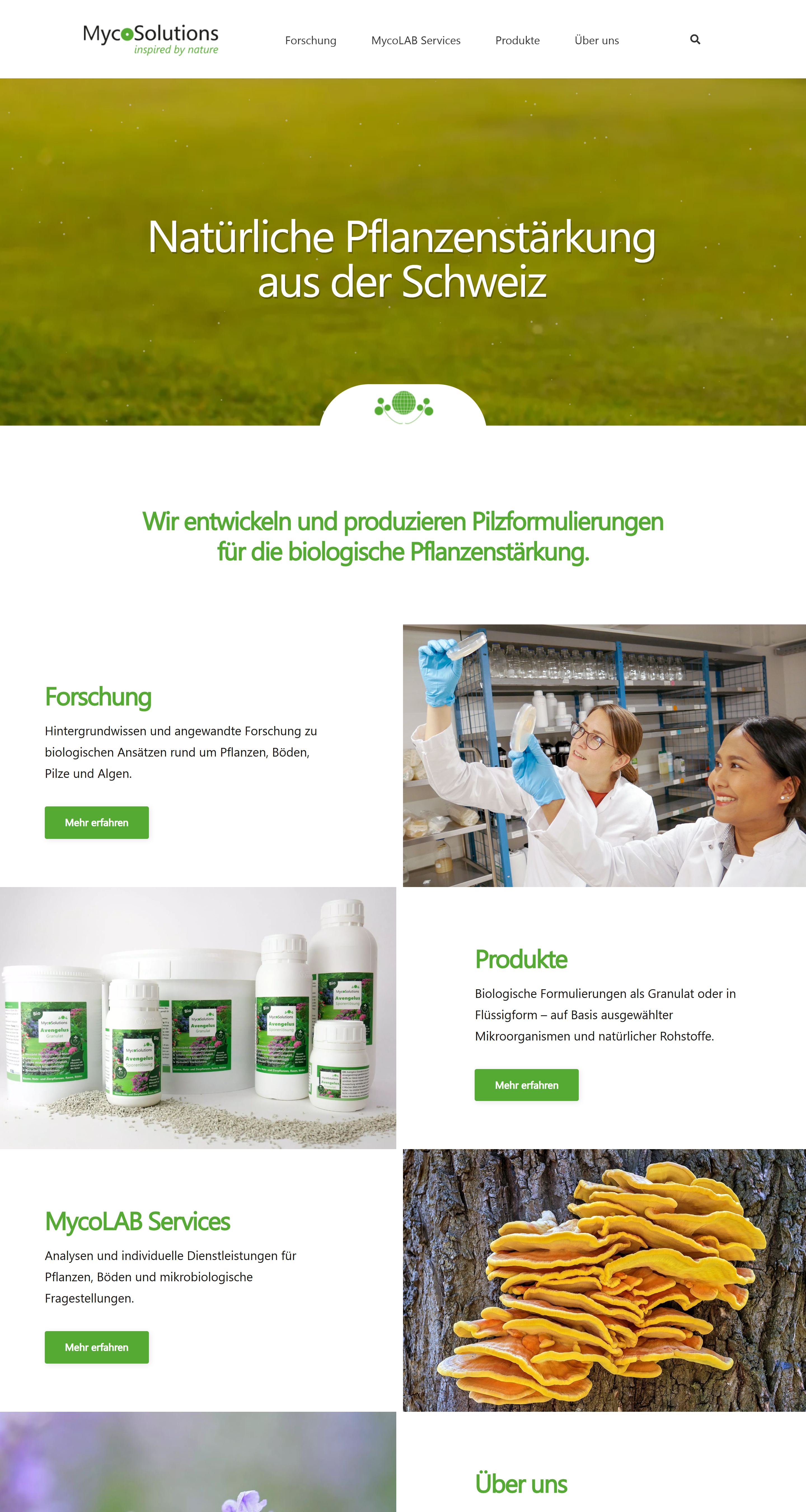 Website von MycoSolutions, ganze Seite
